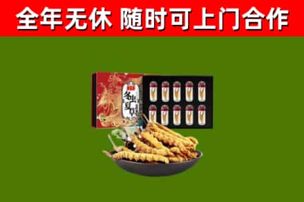 徽县区烟酒回收冬虫夏草礼盒.jpg